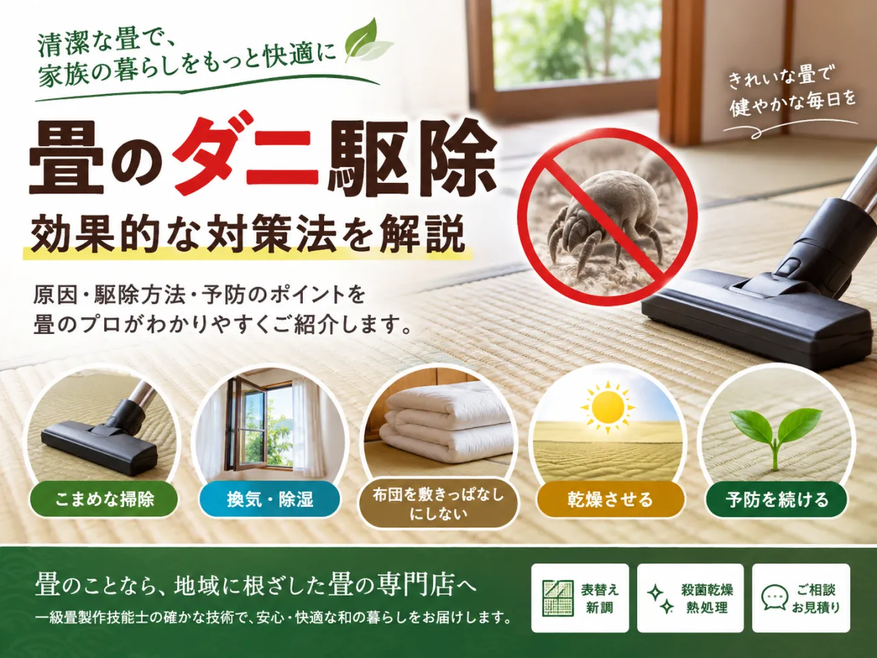 畳のダニ駆除｜効果的な対策法解説